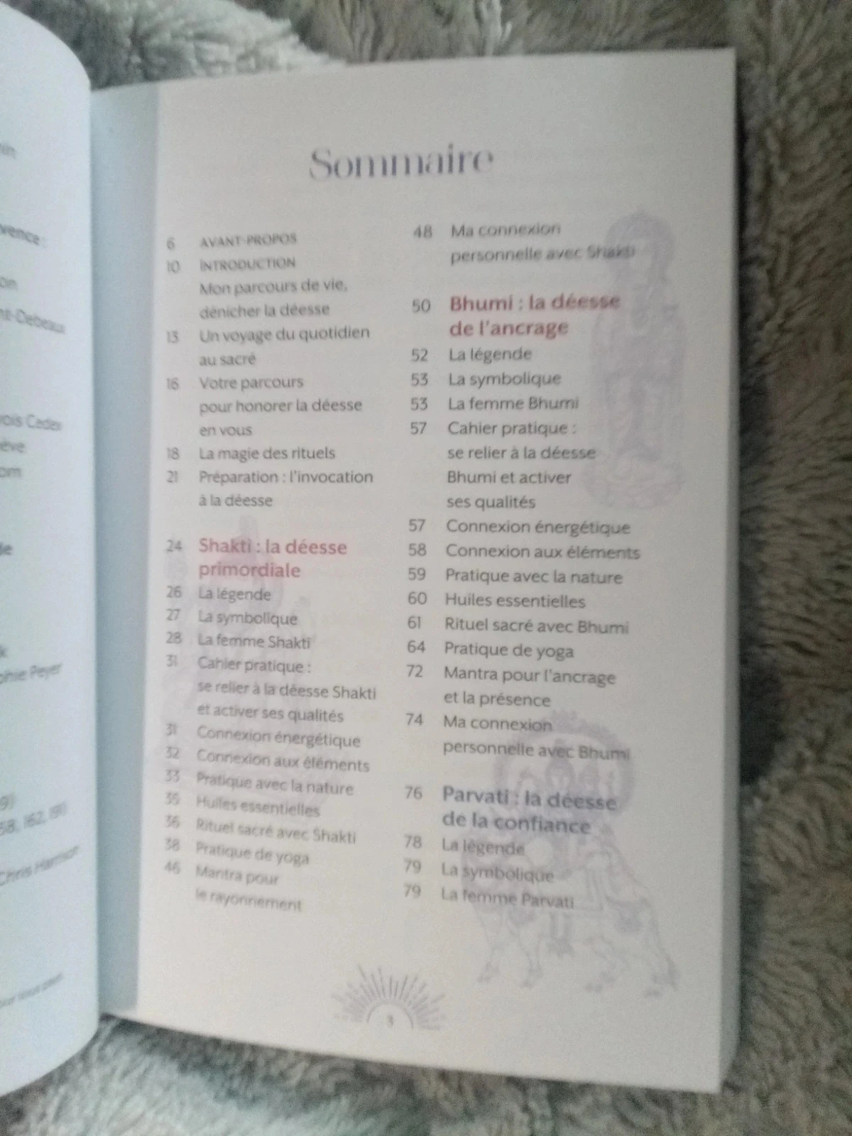 Yogaboek en rituelen van de 9 godinnen – photo 5